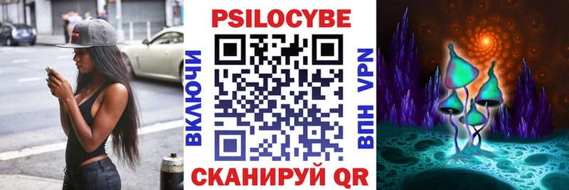 блэк спрут как войти  Шахунья  Псилоцибиновые грибы мухоморы 